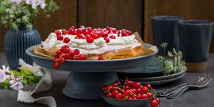 Rezepte und Ernährung