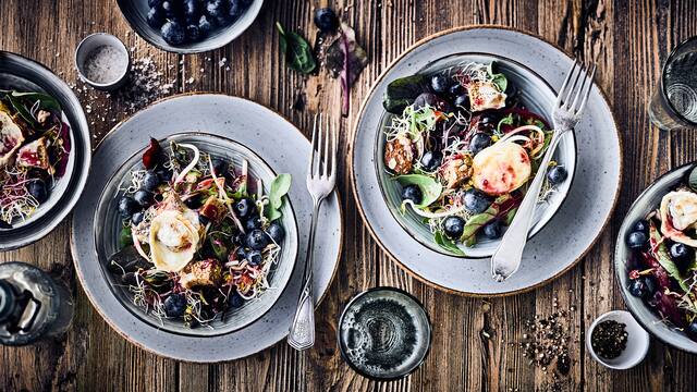 Junger Salat mit Sprossen