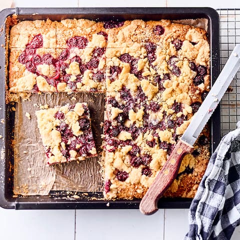 Ein ofenwarmer Blechkuchen mit Kirschen ist zu jeder Jahreszeit ein Genuss. Mit den Rezepten von EDEKA backen Sie die leckeren Kuchen im Handumdrehen.