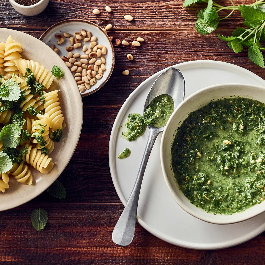 Zitronenmelisse-Pesto - Rezept | EDEKA