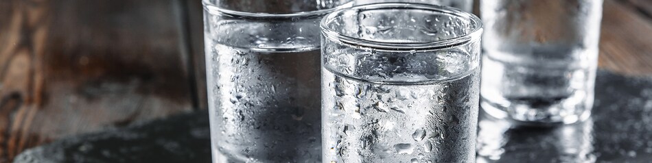 Wodka