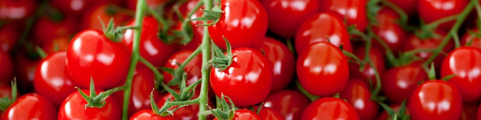 Cherry-Rispentomaten haben sehr kleine Früchte.