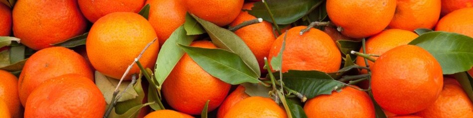 Clementinen sind süßer als ihre Verwandten, die Mandarinen.