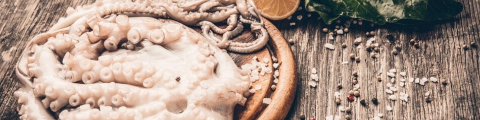 Tintenfische - verwendet in der mediterranen und asiatischen Küche