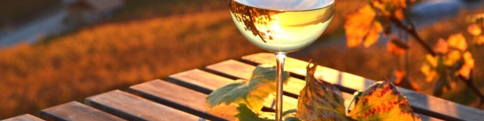 Weißwein genießt man am besten gekühlt.