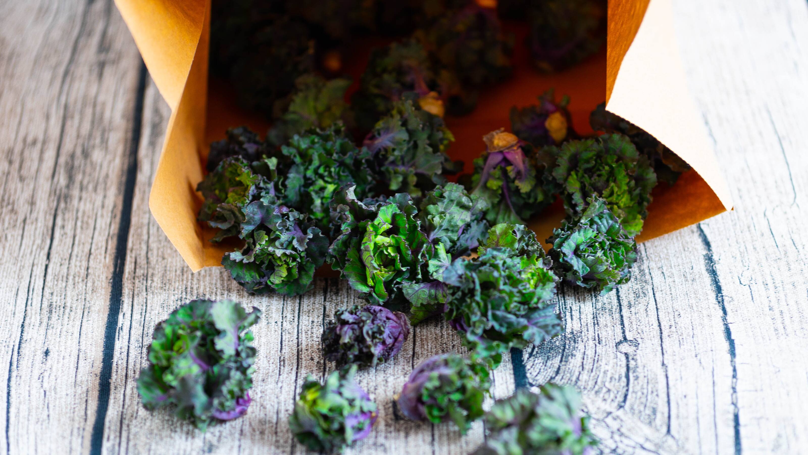 Kalette Kreuzung aus Rosen und Grünkohl EDEKA