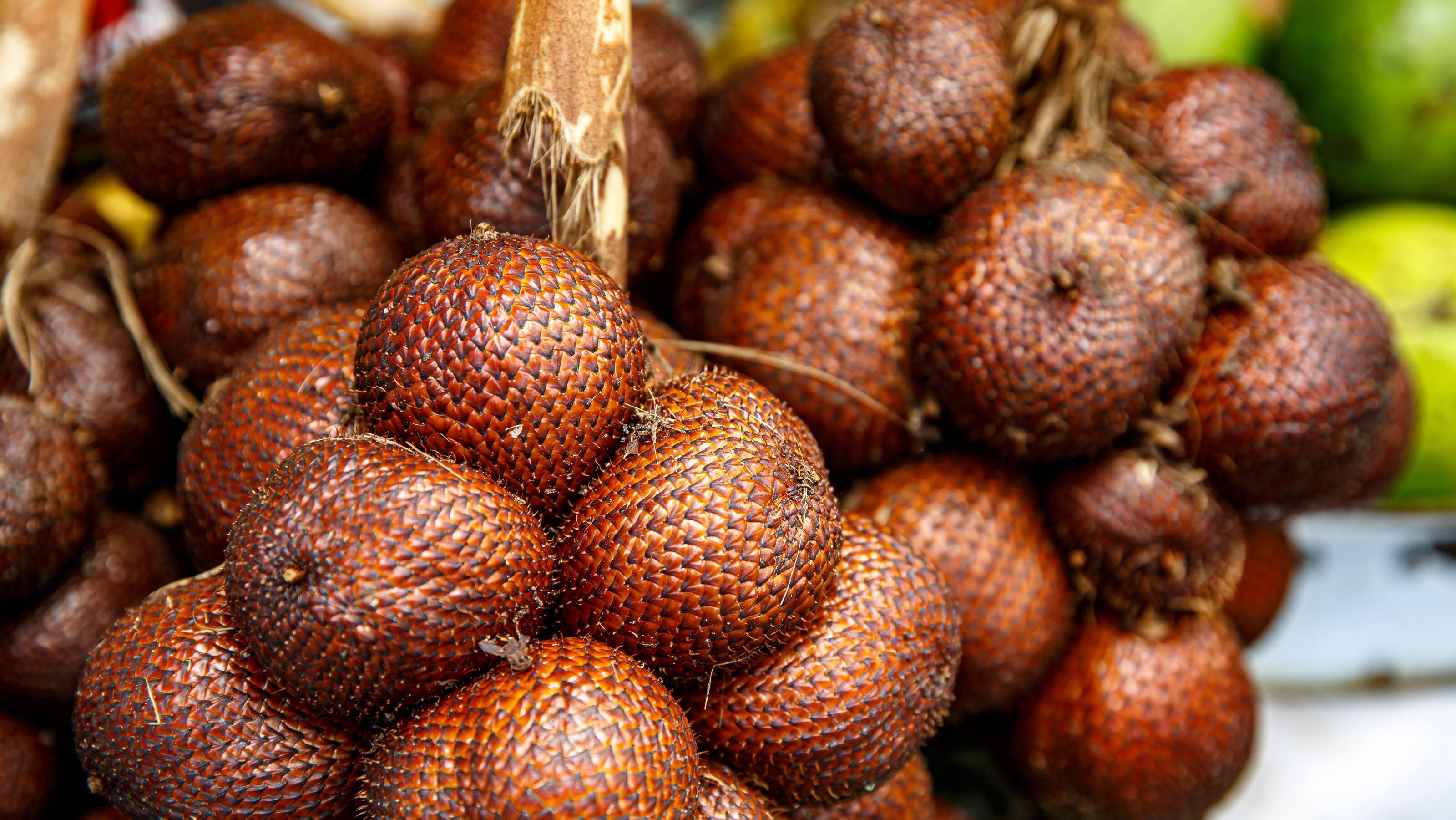 Salak: Wissenswertes zur Schlangenfrucht | EDEKA
