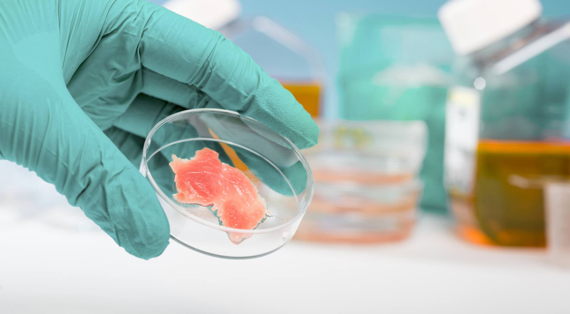 In-vitro-Fleisch: Zellkulturen aus dem Labor | EDEKA