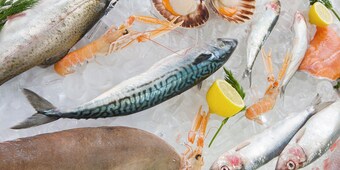 Meeresfrüchte sind echte Delikatessen
