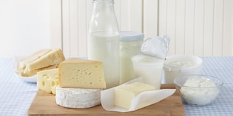 Milchprodukte sind wichtige Eiweißlieferanten