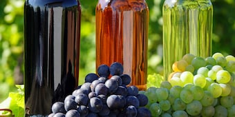 Wein für jede Gelegenheit