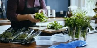 Kräuter: gesund und schmackhaft