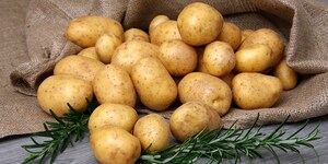 Bewusste Ernährung