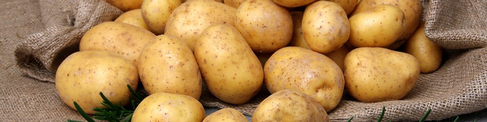 Kartoffeln: beliebtes Gemüse mit über 5000 Sorten Kartoffeln: beliebtes Gemüse mit über 5000 Sorten