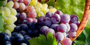 Bewusste Ernährung