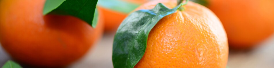 Mandarinen sollten möglichst kühl gelagert werden.
