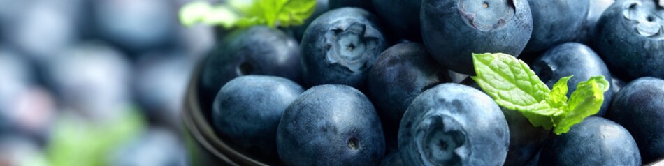 Heidelbeeren sind auch als Blaubeeren bekannt.