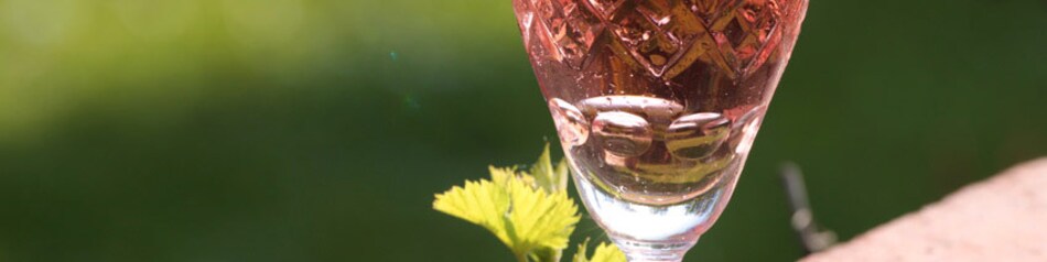 Roséwein wird wie Weißwein gekühlt genossen.