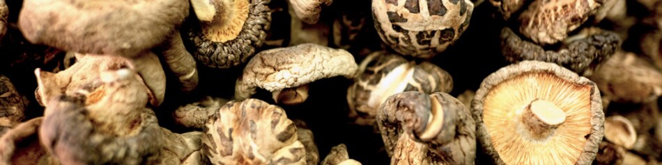 Shiitakes sind eine Pilzsorte aus Fernost.