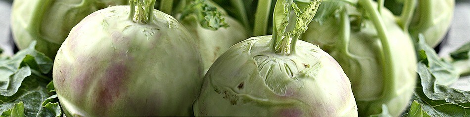 EDEKA Obst und Gemüse aus der Region: Kohlrabi EDEKA Obst und Gemüse aus der Region: Kohlrabi