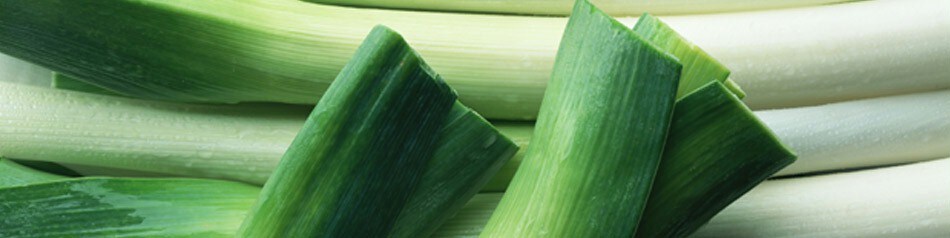 EDEKA Obst und Gemüse aus der Region: Lauch EDEKA Obst und Gemüse aus der Region: Lauch