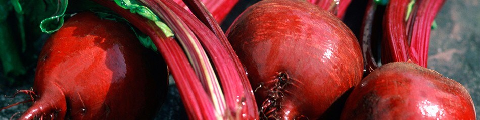 EDEKA Obst und Gemüse aus der Region: Rote Beete EDEKA Obst und Gemüse aus der Region: Rote Beete