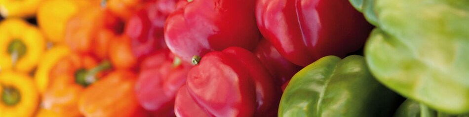 Paprika - vielfältig einsetzbar in der Küche.