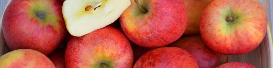 Rubens ist eine Apfelsorte und ein guter Tafelapfel.