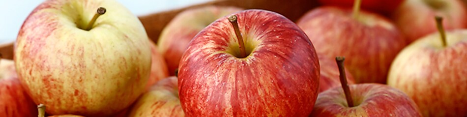 Braeburn ist eine besonders knackige uns saftige Apfelsorte.