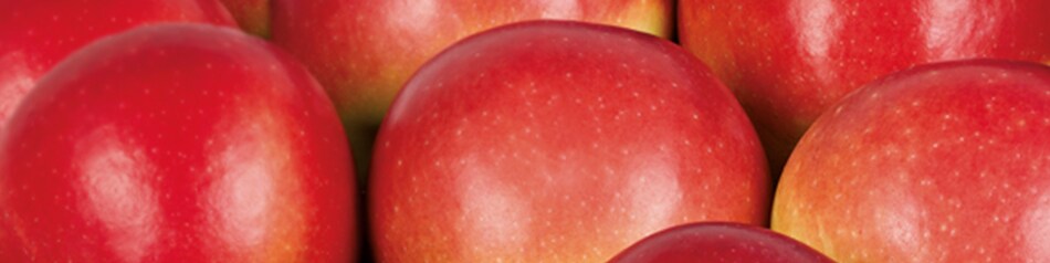 Kanzi ist eine Kreuzung aus den Apfelsorten Gala und Braeburn.