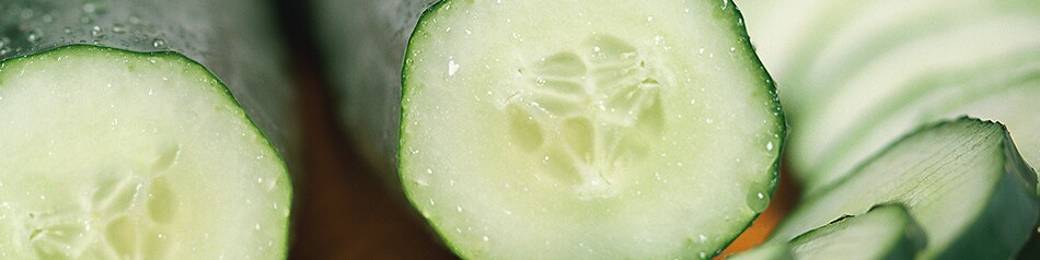 Salatgurken Salatgurken
