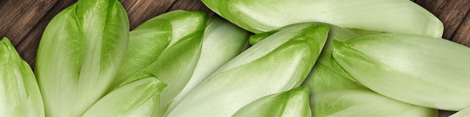 Chicorée gehört mit seinen Bitterstoffen zu den herberen Salatsorten.