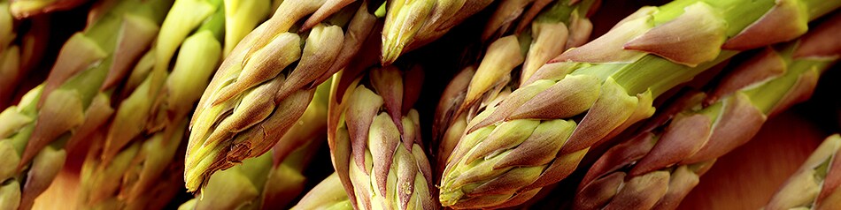 Regionales Obst und Gemüse: Spargel Regionales Obst und Gemüse: Spargel
