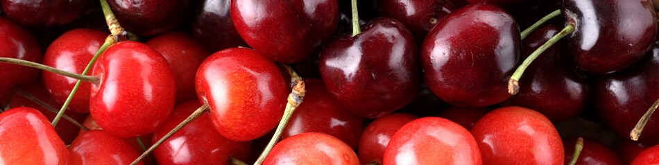 Sauerkirschen werden wegen ihres sauren Aromas nicht pur genossen.