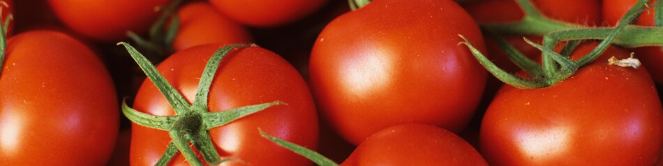 EDEKA Obst und Gemüse aus der Region: Tomaten EDEKA Obst und Gemüse aus der Region: Tomaten