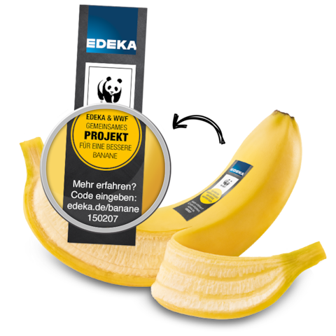 Bananen Projekt Fur Mehr Nachhaltigkeit Edeka