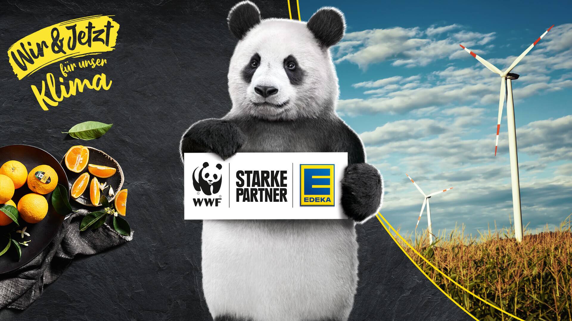 Klimaschutz: So setzen wir uns ein | EDEKA