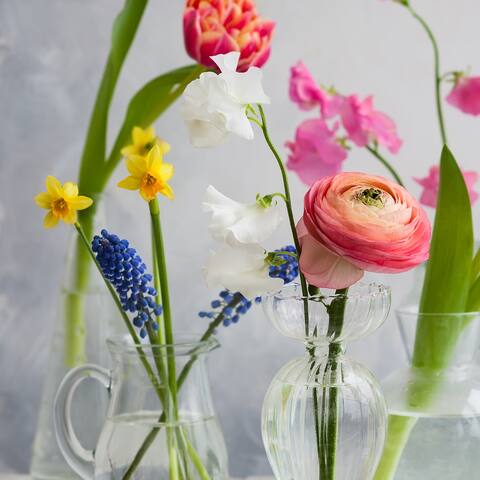 Verschiedene Frühlingsblumen in Gläsern