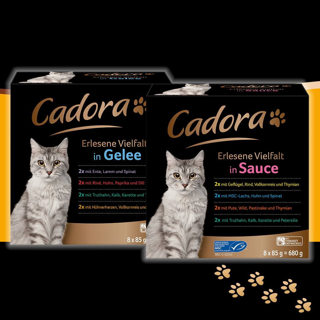 Cadora  Groe Vielfalt fr groe und kleine Feinschmecker! | EDEKA