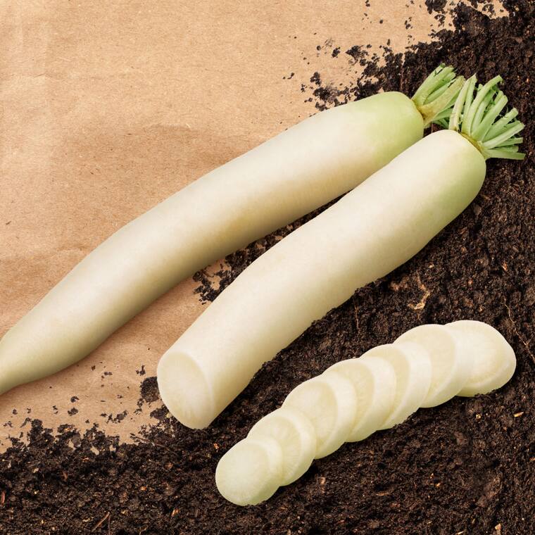 Rettich-Rezepte: Heiß und kalt genießen | EDEKA