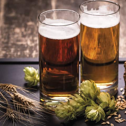 Biersorten Bierfakten Bier Auf Wein