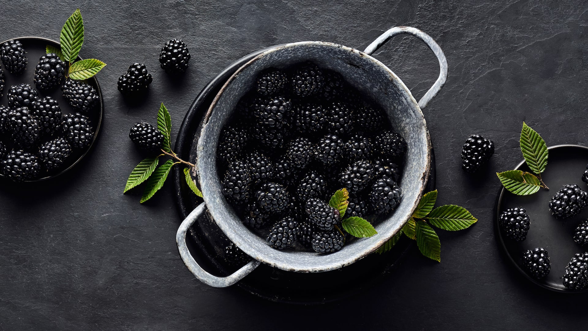 Brombeeren Saisonkalender