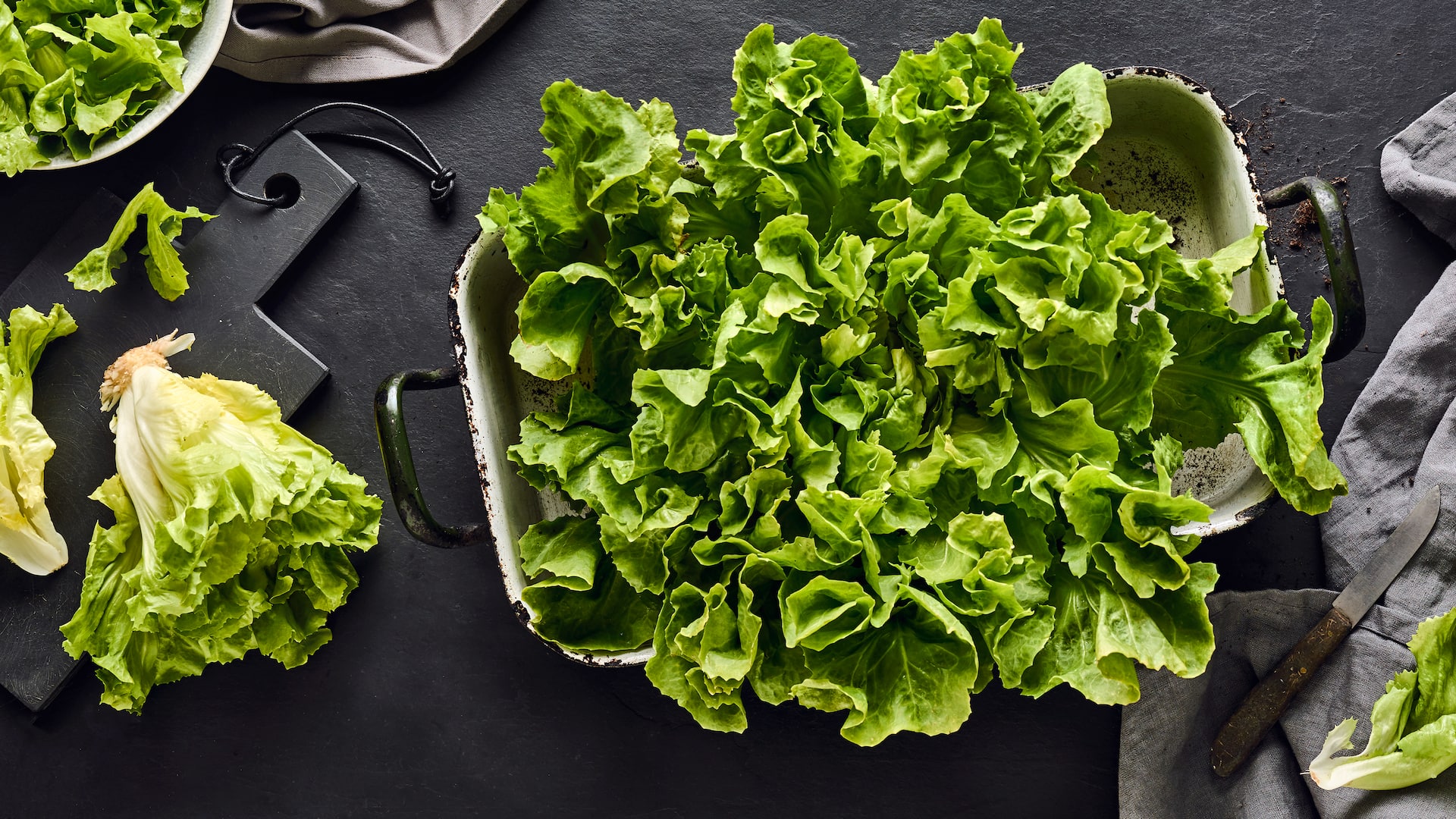 Endivie Saisonkalender