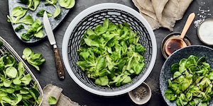 Feldsalat richtig putzen
