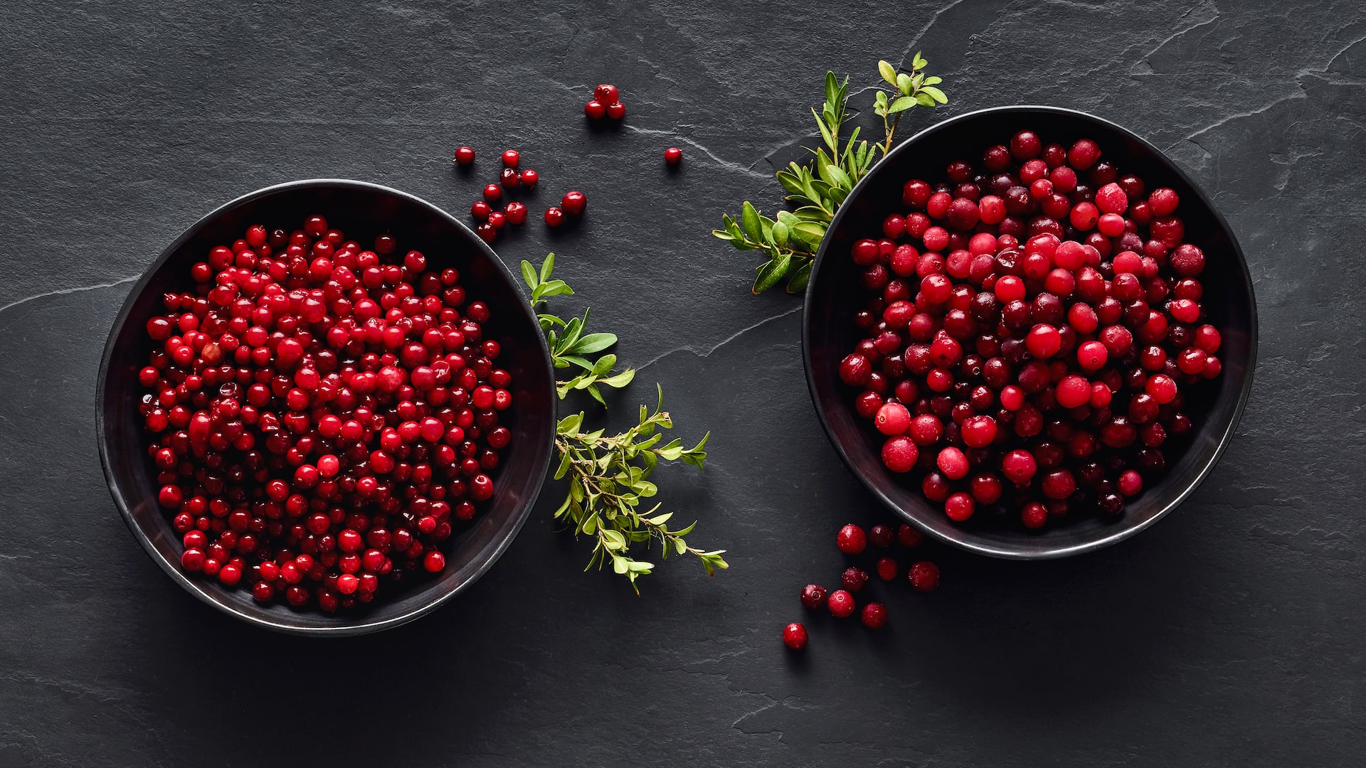 Unterscheid zwischen Preiselbeeren und Cranberries