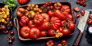 Unterschiede Tomatensorten