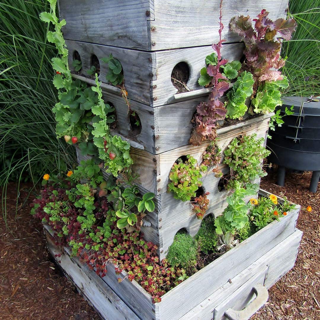 Wurmkiste selber bauen Anleitung und Tipps EDEKA