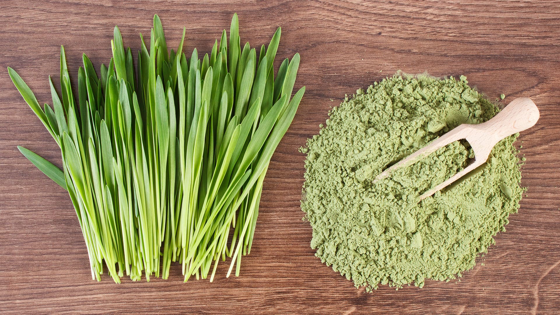 Gerstengras Wirkung: Wie gesund ist die Pflanze? | EDEKA