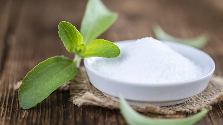58+ Stevia Pflanze Kaufen Hornbach, Sie gedeiht in einer sonnigen bis
