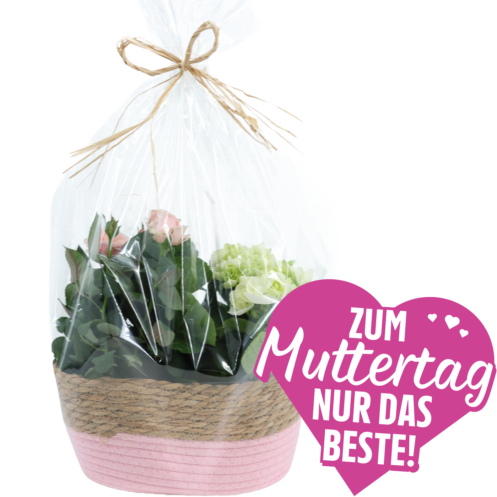 Infinity Rosen und Hortensien****